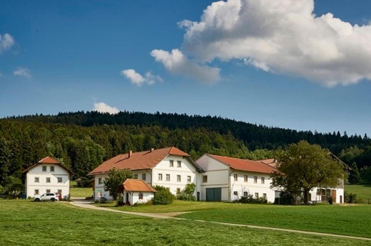 Der Breinhof - Euer Urlaubsbauernhof Apartment Waldkirchen Ngoại thất bức ảnh